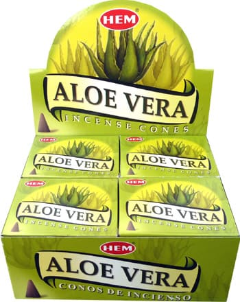 Coni di aloe vera per l'incenso