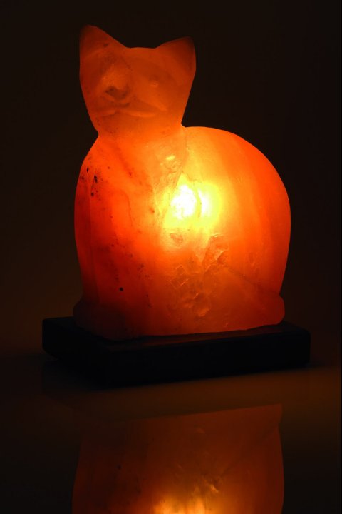 Lampada di sale per gatti 3 kg