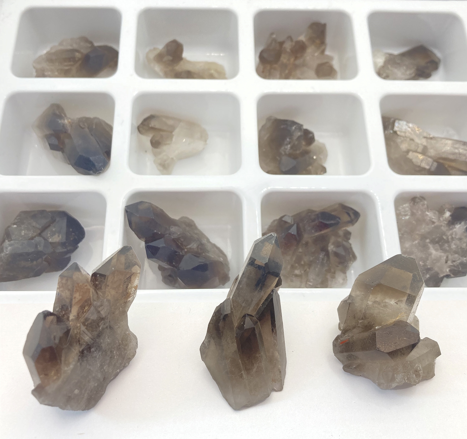 Espositore da 12 pezzi i cristallo di rocca affumicato