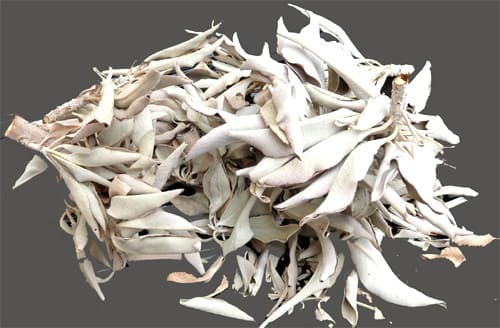 Bulk California White Sage 25g