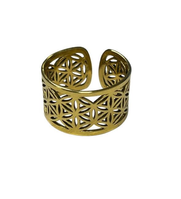 Anello fiore della vita regolabile in bronzo