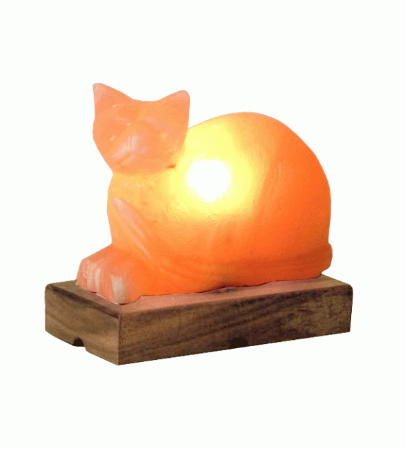 Lampada di sale per gatti 3 kg