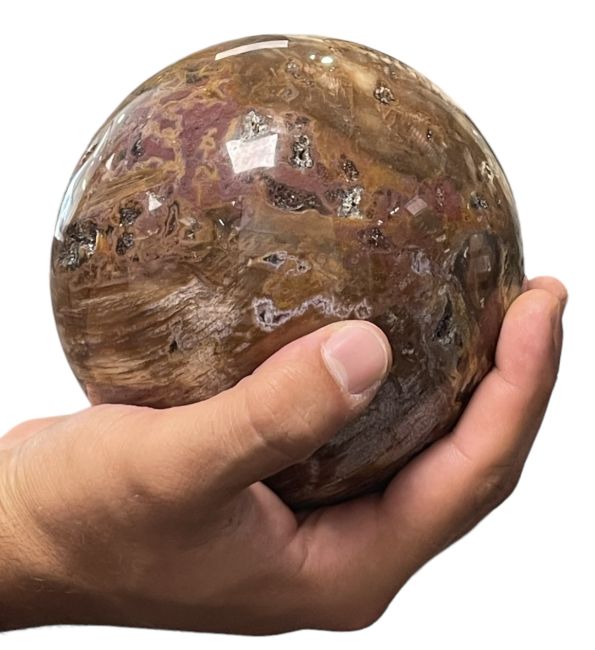 Sfera di legno fossile 2,426 kg