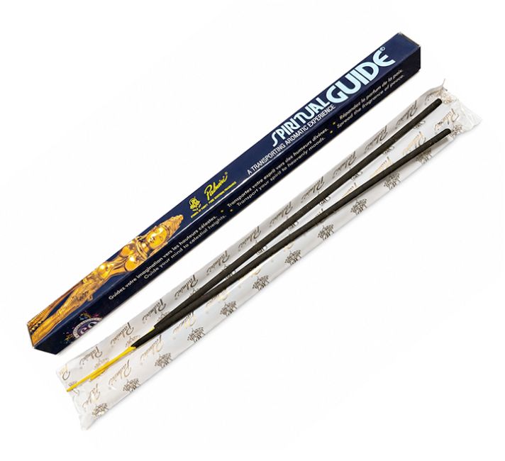 incenso ad Incenso Padmini Spiritual Guide 8 bastoncini|it