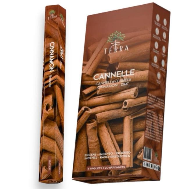 Incenso Hexa alla cannella Terra senza carbone 30gr