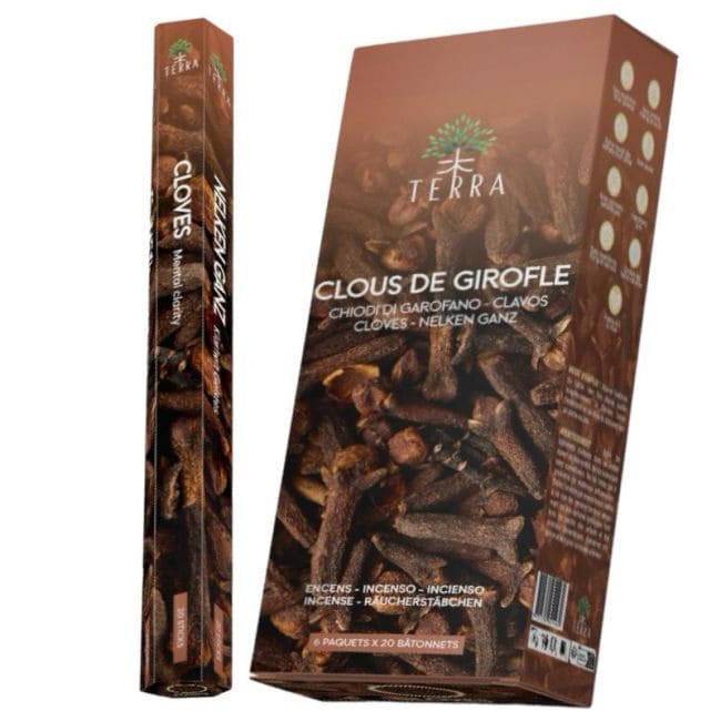 Incenso Hexa ai chiodi di garofano Terra senza carbone 30gr