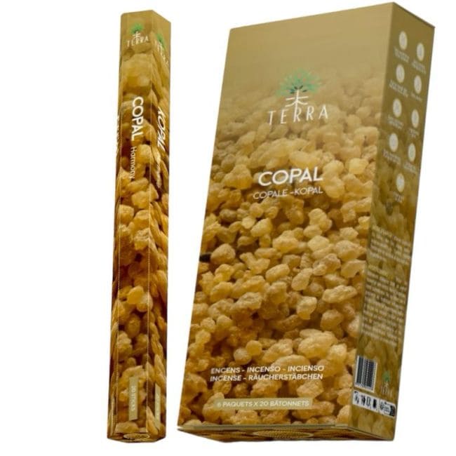 Incenso Terra Copal Hexa senza carbone 30gr