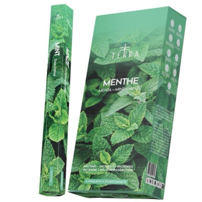 Incenso Terra Menta Hexa senza carbone 30gr