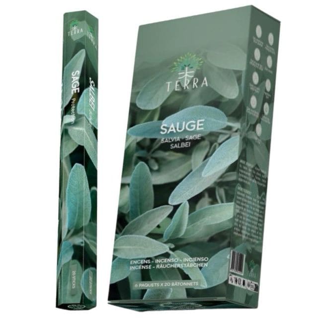 Incenso Hexa salvia terra senza carbone 30gr