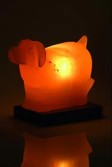 Lampada di sale per cani 2-3 kg