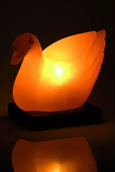 Lampada di sale a forma di anatra 2-3 kg