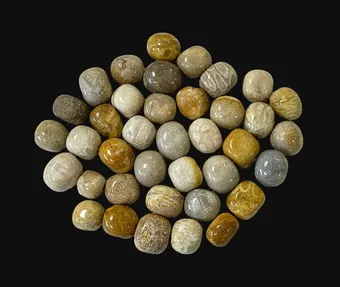 Pietre barilate Corallo Fossile A da 250g