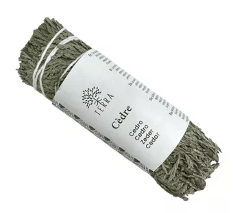 Fascio di tuia naturale di cedro bianco 25-30 g 10 cm