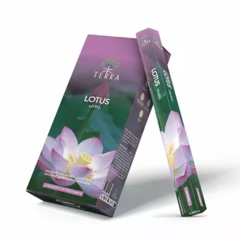 Incenso Terra Lotus hexa senza carbone 30gr