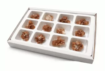 Espositore di 12 Aragoniti Grezze 3-4 cm