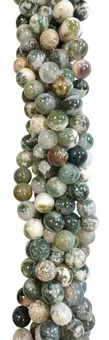 Filo di Perle Rotonde in Agata Albero A 4 mm