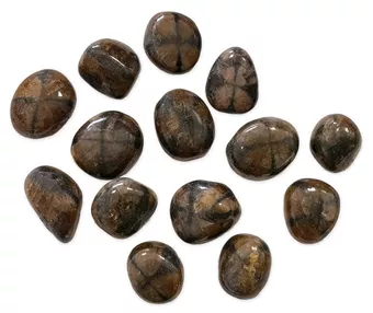 Chiastolite A Pietre Burattate 2-3cm 250g