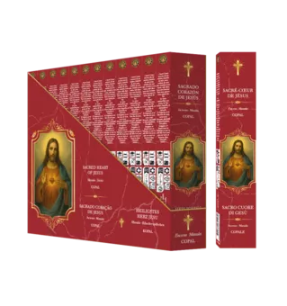 Incenso Fragrances & Sens Sacro Cuore di Gesù Masala 15g
