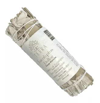 Pacchetto Dollaro di salvia bianca ed eucalipto 25-30 g 10 cm
