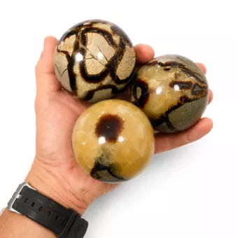 3 sfere di septaria lucidate, 1,340 kg