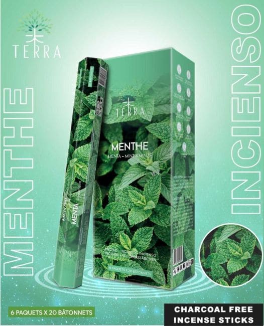 Incenso Terra Menta Hexa senza carbone 30gr