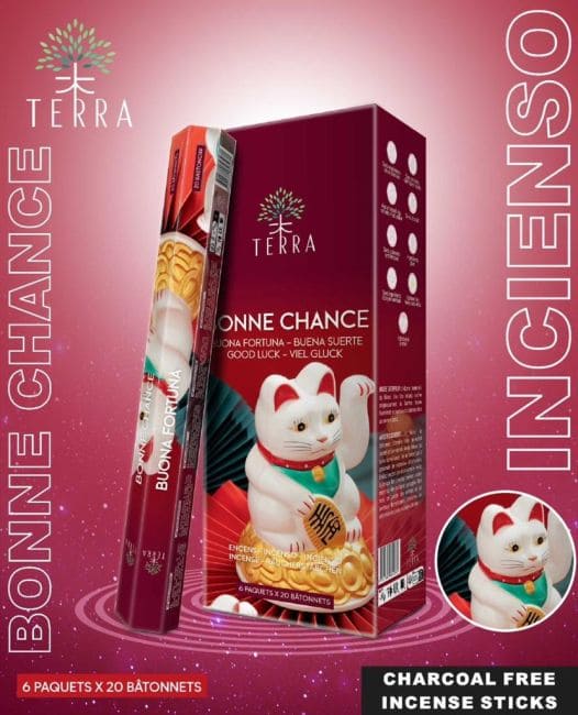 incenso ad Incenso Terra Bonne Chance hexa senza carbone|it