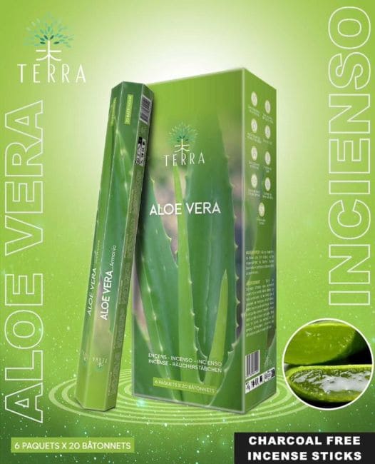 Incenso senza carbone Terra Aloe vera hexa 30grs