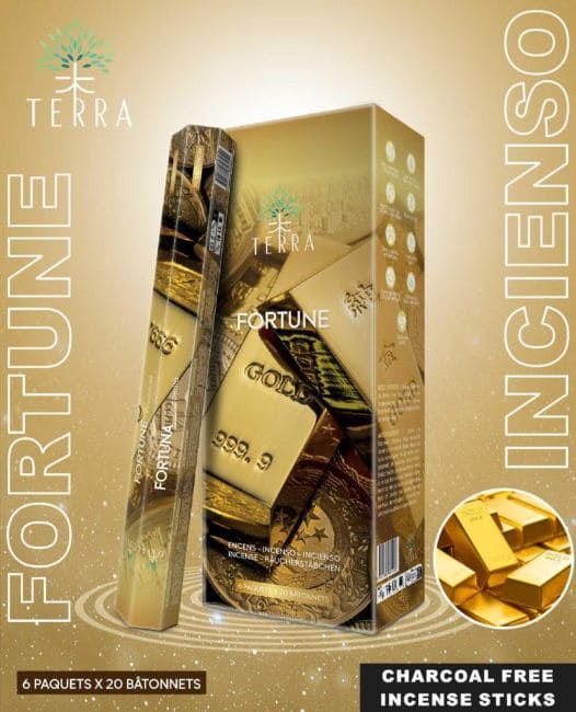 Incenso Terra Fortuna Hexa senza carbone 30gr