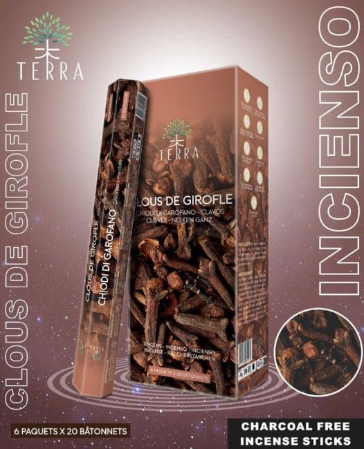 Incenso Hexa ai chiodi di garofano Terra senza carbone 30gr