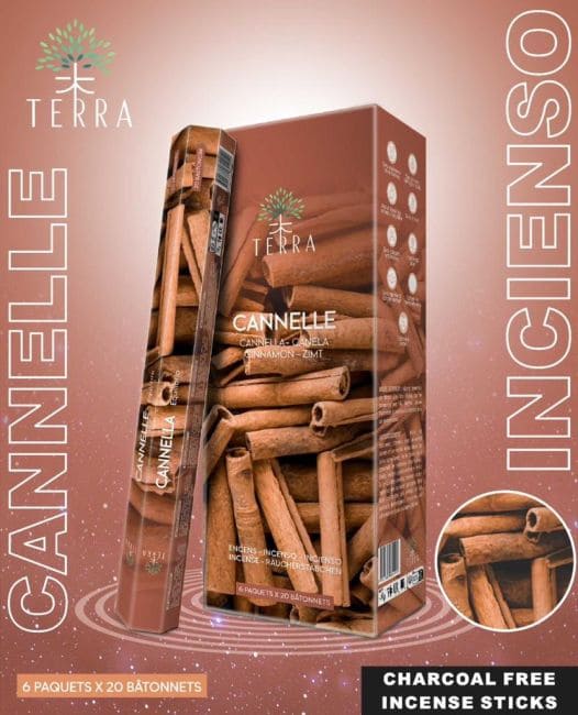 Incenso Hexa alla cannella Terra senza carbone 30gr