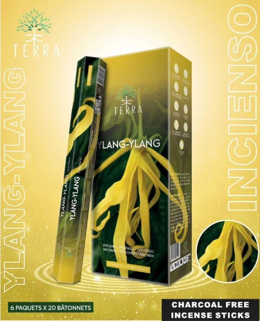 Incenso Terra Ylang-Ylang Hexa senza carbone 30gr