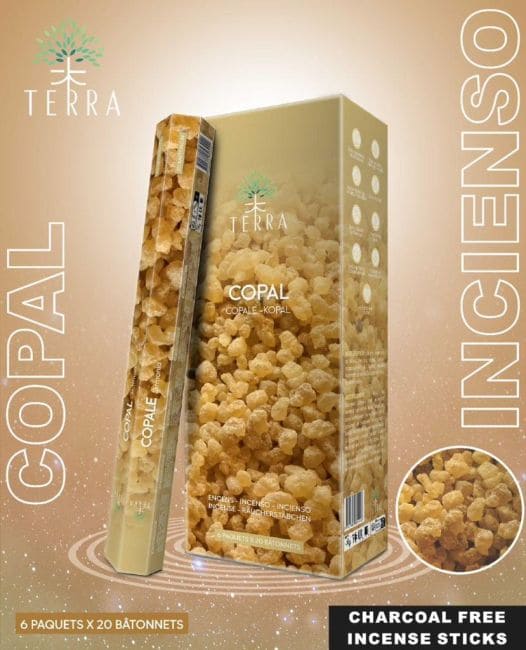 Incenso Terra Copal Hexa senza carbone 30gr